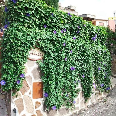 B&B Nonna Luisa Tarquinia Zewnętrze zdjęcie